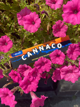 Load image into Gallery viewer, King Size Hemp Rolling Papers