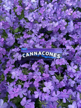 Load image into Gallery viewer, 4 Pack Indicones
